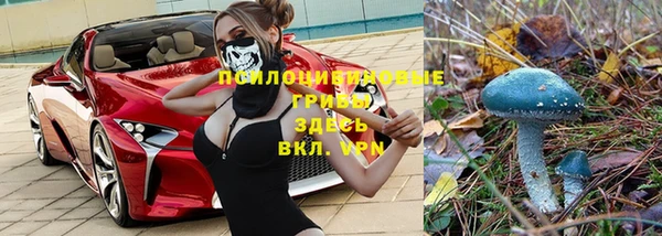 тгк Майский