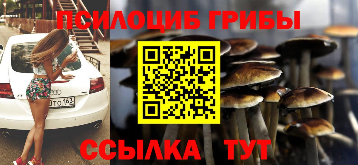 Псилоцибиновые грибы Psilocybine cubensis Химки