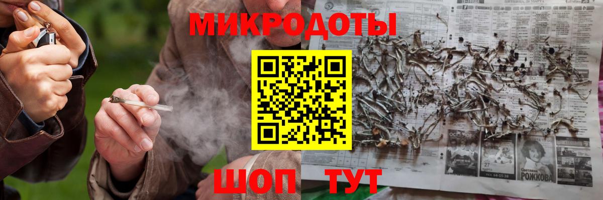 Псилоцибиновые грибы Psilocybe  Псилоцибиновые грибы прущие грибы  Химки 